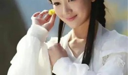 金圣恩最新爆料,揭秘娱乐圈惊人内幕